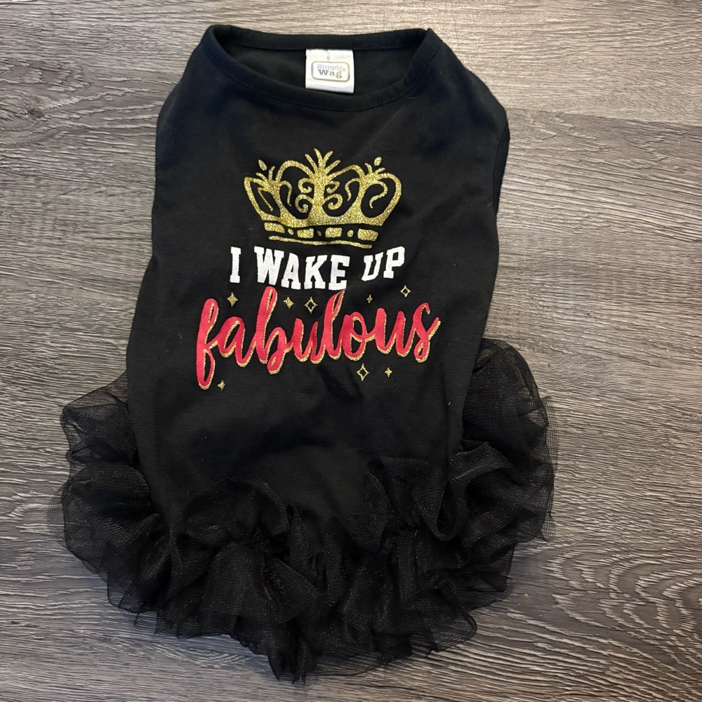 I wake up Fabulous Dog Dress